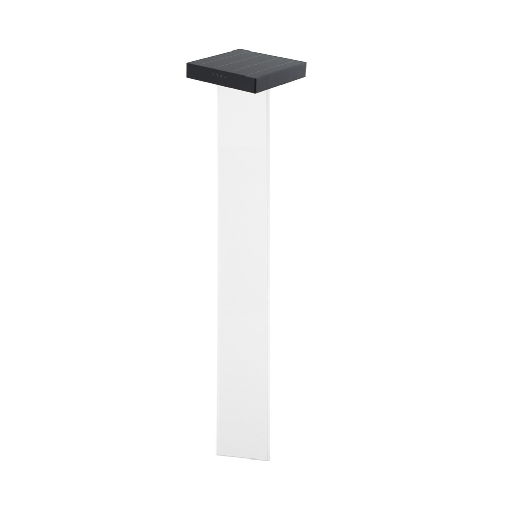 Scotty Solar Light