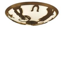 Luma-Spec Lighting 11860 - 20" Wide Cowboy Flushmount