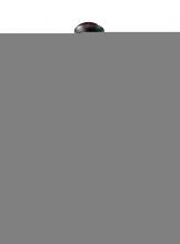 Luma-Spec Lighting 120356 - 20" Wide Dionne Pendant