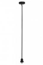 Luma-Spec Lighting 145860 - 5"CEILING MT ROUND RODS 1 LT 2.25"FITTER
