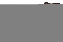 Luma-Spec Lighting 153738 - 17"W "T" Mission 2 LT Vanity Light