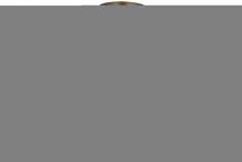 Luma-Spec Lighting 153997 - 22"W Loon Semi-Flushmount