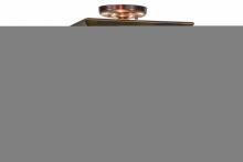 Luma-Spec Lighting 155015 - 11"Sq Oak Leaf & Acorn Flushmount
