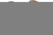 Luma-Spec Lighting 158693 - 18"W Oak Leaf & Acorn 2 LT Wall Sconce