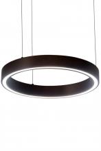 Luma-Spec Lighting 179660 - 16"W Anillo Halo Pendant