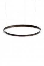 Luma-Spec Lighting 179664 - 39"W Anillo Halo Pendant