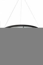 Luma-Spec Lighting 182102 - 62.5"W Anillo Pendant