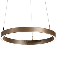 Luma-Spec Lighting 202453 - 24" Wide Anillo Halo Pendant
