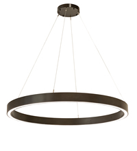 Luma-Spec Lighting 211037 - 60" Wide Anillo Halo Pendant