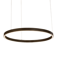 Luma-Spec Lighting 214093 - 39" Wide Anillo Halo Pendant