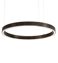 Luma-Spec Lighting 214094 - 28" Wide Anillo Halo Pendant