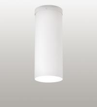 Luma-Spec Lighting 218170 - 12" Wide Cilindro Flushmount
