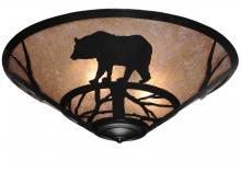 Luma-Spec Lighting 243087 - 22" Wide Bear on the Loose Flushmount