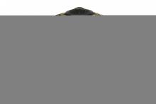 Luma-Spec Lighting 65961 - 22" Wide Iris W/Hooks Shade