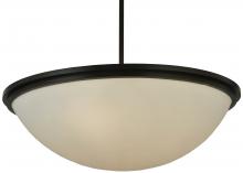 Luma-Spec Lighting 128528 - 36"W Commerce Inverted Pendant