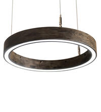 Luma-Spec Lighting 229984 - 16" Wide Anillo Halo Pendant