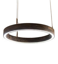 Luma-Spec Lighting 229987 - 18" Wide Anillo Halo Pendant
