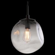 Hammerton LAB0062-01-GP-C-C01-E2 - Aster Pendant