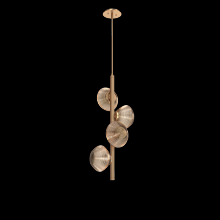 Hammerton CHB0089-T4-NB-B-001-L3 - Mesa Twisted Vine - 4pc