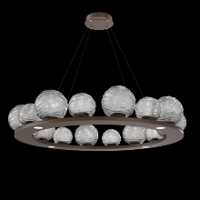 Hammerton CHB0092-0D-FB-S-CA1-L3 - Gaia Ring - 48-Inch