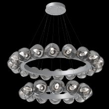Hammerton CHB0095-2T-CS-GS-CA1-L1 - Luna Two-Tier Radial Ring