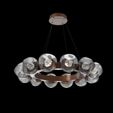 Hammerton CHB0095-36-BB-ZS-CA1-L3 - Luna Radial Ring - 36-Inch