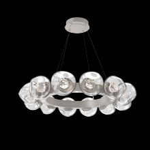 Hammerton CHB0095-36-BS-FC-CA1-L3 - Luna Radial Ring - 36-Inch