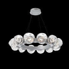Hammerton CHB0095-36-CS-FC-CA1-L3 - Luna Radial Ring - 36-Inch