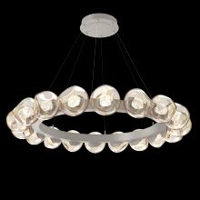 Hammerton CHB0095-48-BS-ZA-CA1-L3 - Luna Radial Ring - 48-Inch