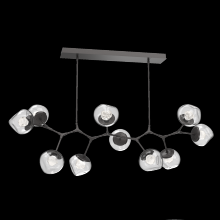 Hammerton PLB0095-BC-GP-ZC-001-L1 - Luna Modern Branch - 10pc