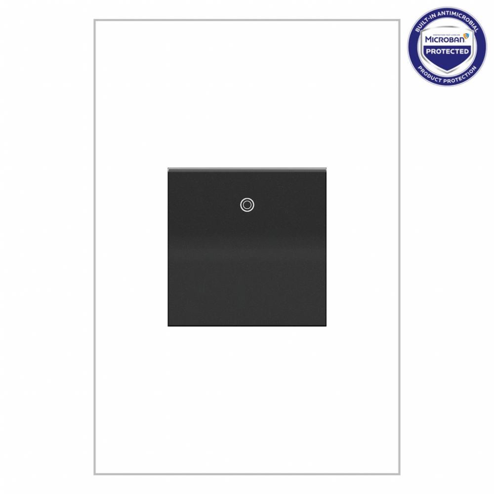 adorne 15A Paddle Switch, Graphite, with Microban