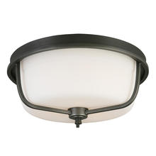 B2B Spec 202907A - 3x60W Ceiling Light w/ Graphite Finish & Frosted Glass