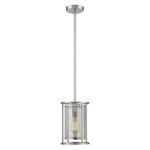B2B Spec 203544A - De Velde - 1 LT Mini Cage Pendant