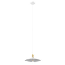 B2B Spec 204024A - 1x60W Pendant w/ White Finish with Brushed Gold Accents.