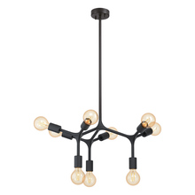 B2B Spec 204294A - 9 LT Open Bulb Pendant or Ceiling Light w/ Black finish