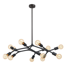 B2B Spec 204295A - 12 LT Open Bulb Pendant or Ceiling Light w/ Black finish