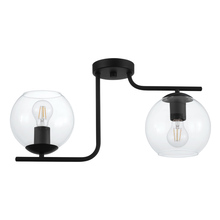 B2B Spec 204338A - 2 LT Ceiling Light with a Black Finish and Clear Glass Shades 2-40W E26 Bulbs