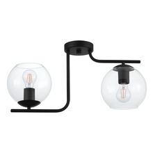 B2B Spec 204338A - 2 LT Ceiling Light w/ a Black Finish & Clear Glass Shades
