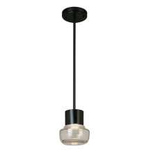 B2B Spec 204448A - 1 LT Integrated LED Indoor/Outdoor Mini Pendant w/ Black Finish & Clear Glass