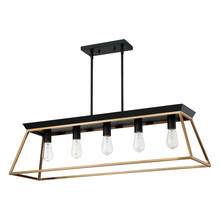 B2B Spec 204596A - 5 LT Open Frame Linear Pendant w/ Brushed Gold & Matte Black Finish