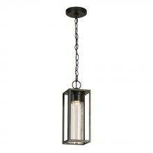 B2B Spec 204707A - 1 LT Integrated LED Outdoor Pendant w/ Black Finish & Clear Seeded Glass