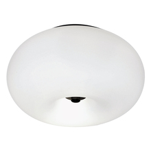 B2B Spec 204893A - 2 LT Ceiling Light w/ Black Finish & Opal Glass Shade