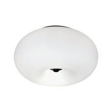 B2B Spec 204894A - 2 LT Ceiling Light w/ Black Finish & Opal Glass Shade