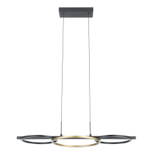 B2B Spec 205746A - 3 LT Integrated LED Pendant w/ Black Finish & 3 Circular Gold Rings