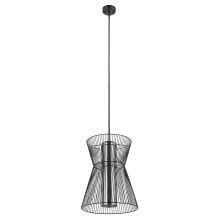 B2B Spec 205841A - 1 LT Pendant w/ Black Finish & Metal Cage Frame Surrounding Transparent Smoked Glass