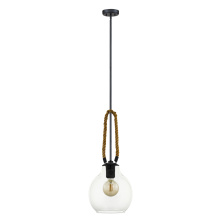 B2B Spec 205844A - 1 LT Pendant w/ Black Finish , Brown Roping & Clear Glass Shade