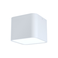 B2B Spec 99281A - Grimasola - Ceiling Light White 1x60W
