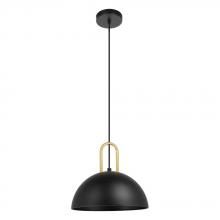 B2B Spec 99693A - 1 LT Pendant With Structured Black Finish and Brushed Brass Accents 1-60W E26 Bulb