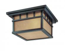 Dolan Designs 9119-68 - Barton 2Lt Ceiling Winchester