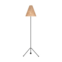 Visual Comfort & Co. Studio Collection AET1171AIBRTN1 - Gustav Medium Floor Lamp